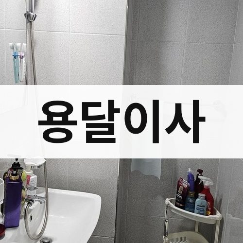 경남 동부 용달이사 포장이사