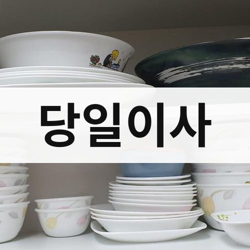 경남 동부 당일이사 포장이사
